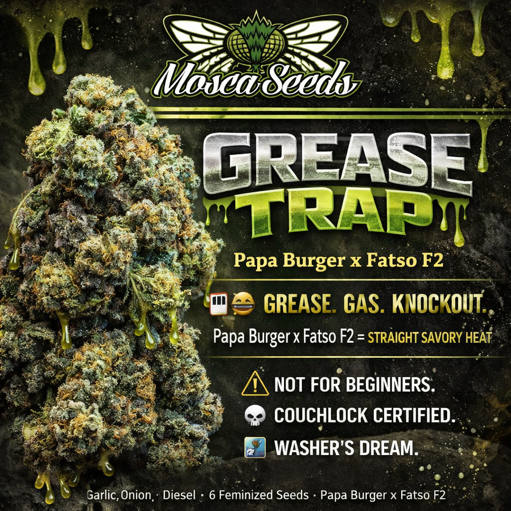 Grease Trap cannabis strain poster