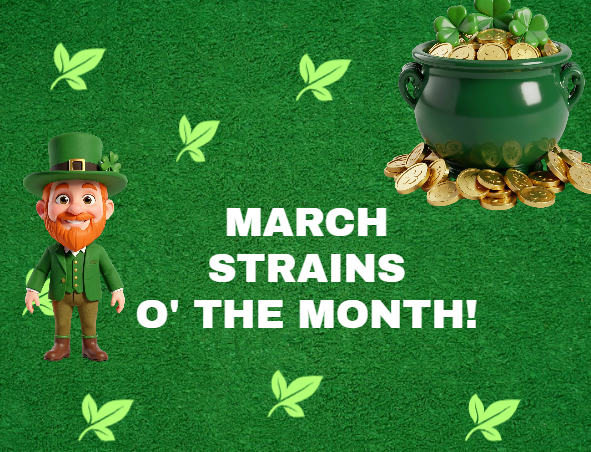 february cannabis strains of the month