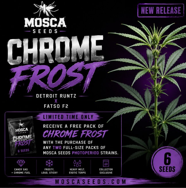 Chrome BUY 2 GET ONE-Mem Day 5-22-2026