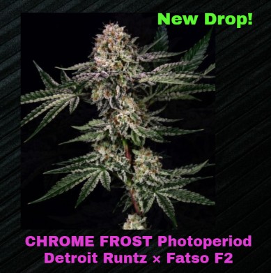 CHROME FROST-New Drop