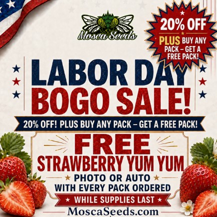 LABOR DAY BOGO_2026