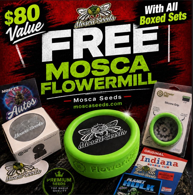 Mosca flowermill2