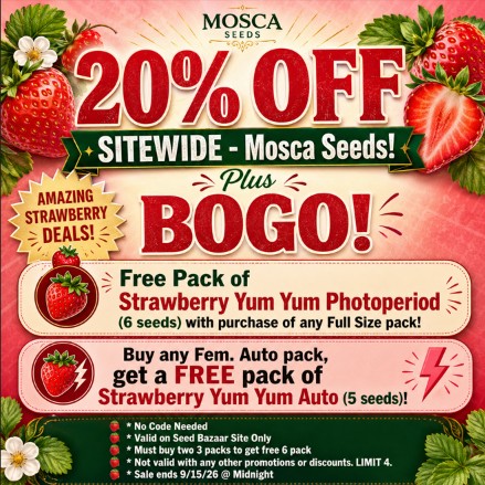 Strawberry nBOGO mOSCA-PRETTY_2026